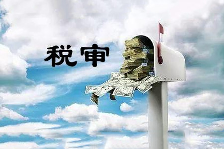 税审报告
