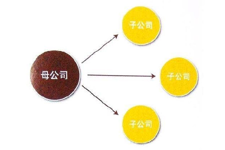 全资子公司设立条件