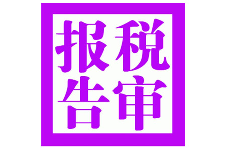税审报告
